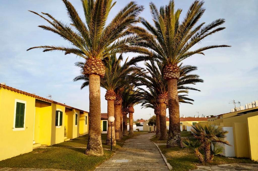 Apartamento 7 Palmeras Ciutadella  Luaran gambar